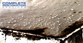 Why You Shouldn’t Ignore Water Damage Why You Shouldn’t Ignore Water Damage