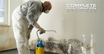 What to Do If You Find Mold in Your Home What to Do If You Find Mold in Your Home