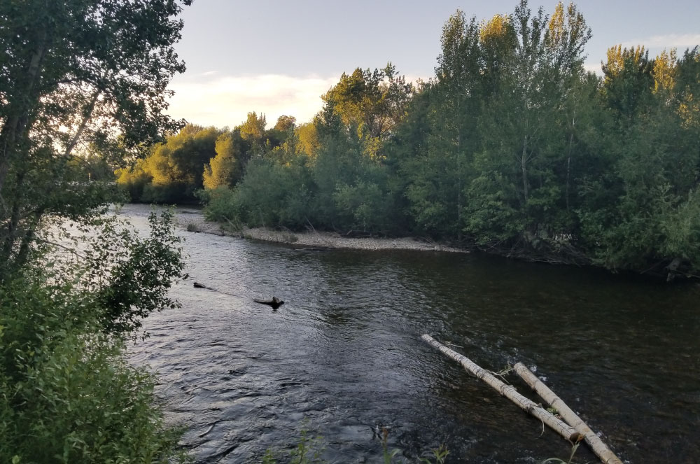 Fire Damage Repair in Eagle | Complete Restoration Services