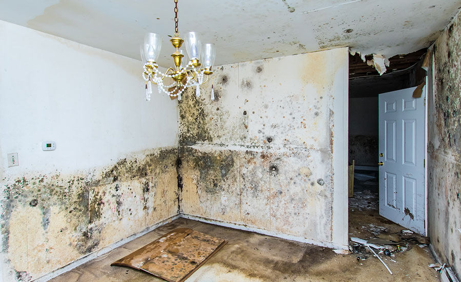 Fire Damage Repair in Eagle | Complete Restoration Services