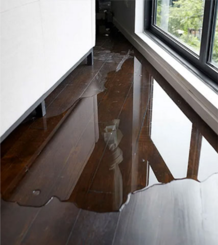 Fire Damage Repair in Meridian | Complete Restoration Services