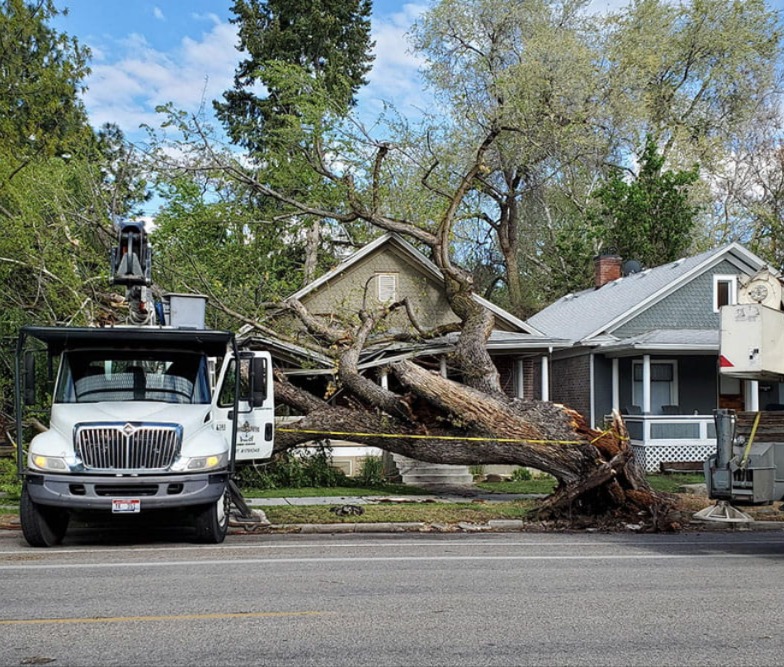 Wind and Storm Damage Repair