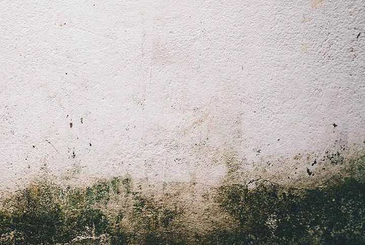 Asbestos Removal in Nampa | Complete Restoration Services