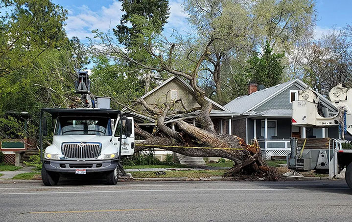 Wind and Storm Damage Repair