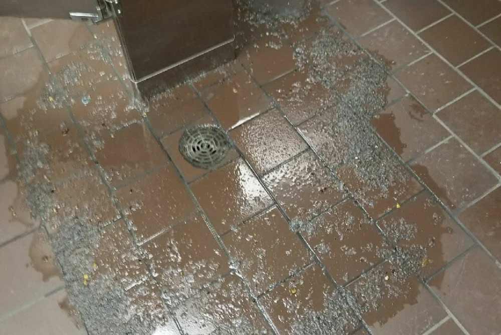 Commercial Mold Remediation Services in Boise