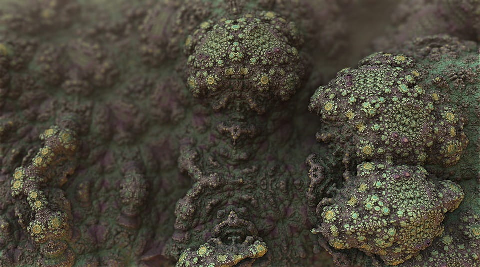 Mold Removal in Boise