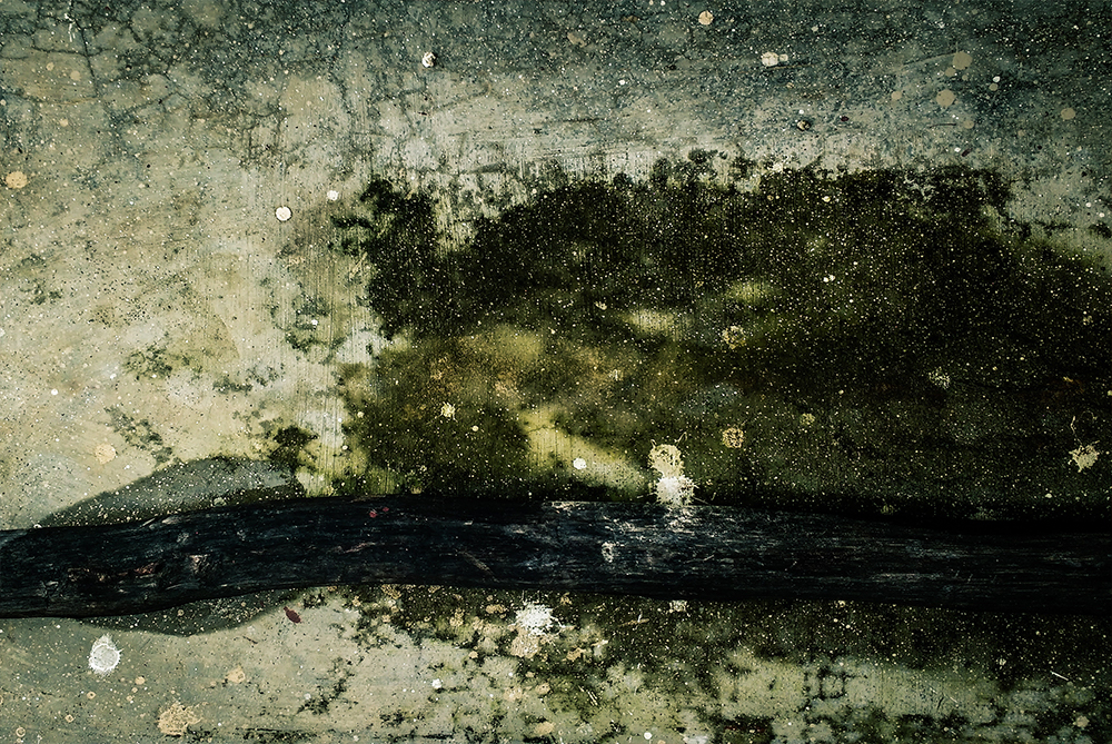 Water Damage Repair in Boise | Complete Restoration Services