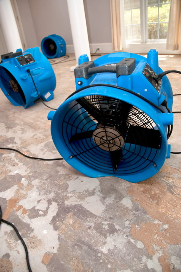 image of industrial fans drying a water damaged floor