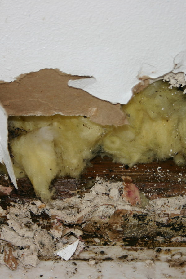 image of an example of water damage in a home