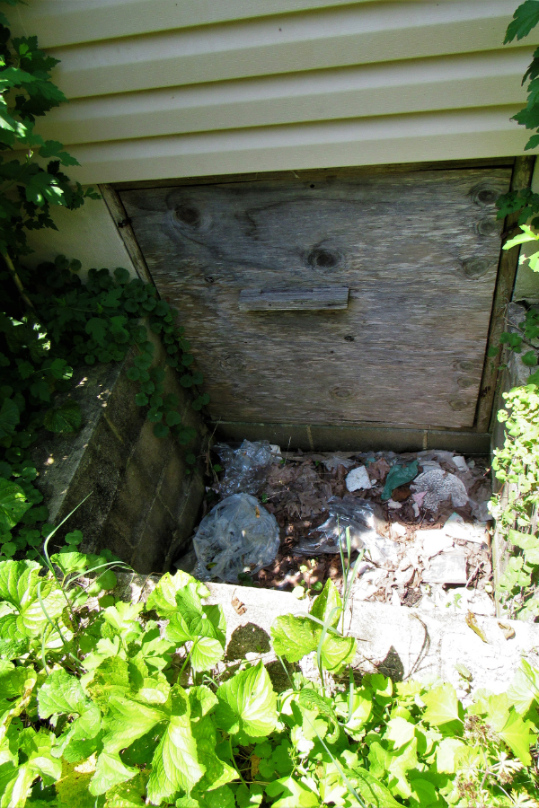 crawl space cleanup boise