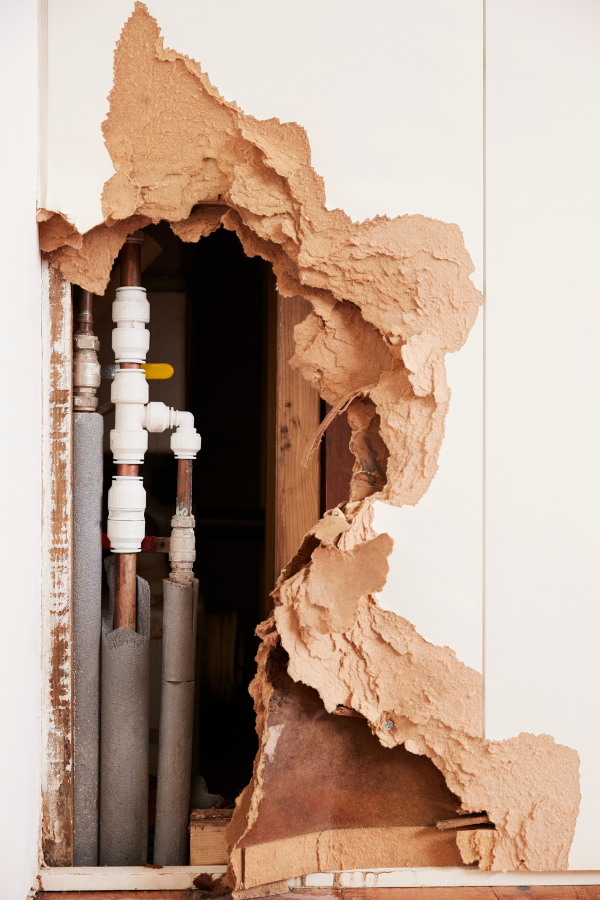water damage restoration boise