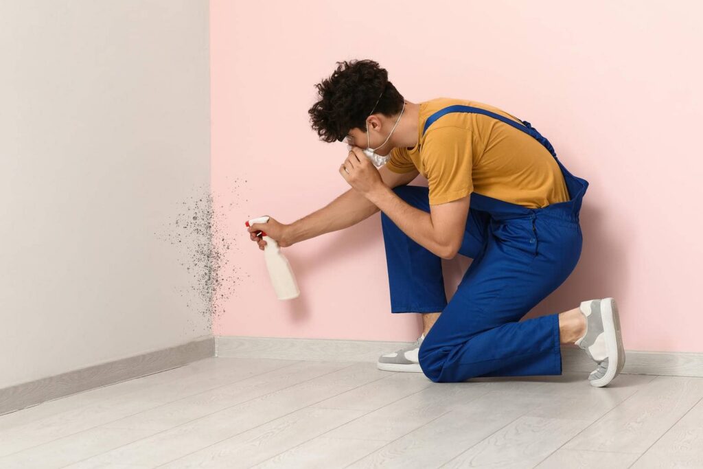 Man in blue overalls spraying mold on a wall while wearing a protective mask.