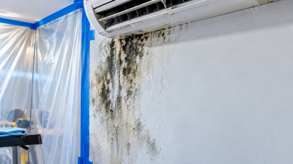 Mold and water damage beneath a wall-mounted air conditioner.
