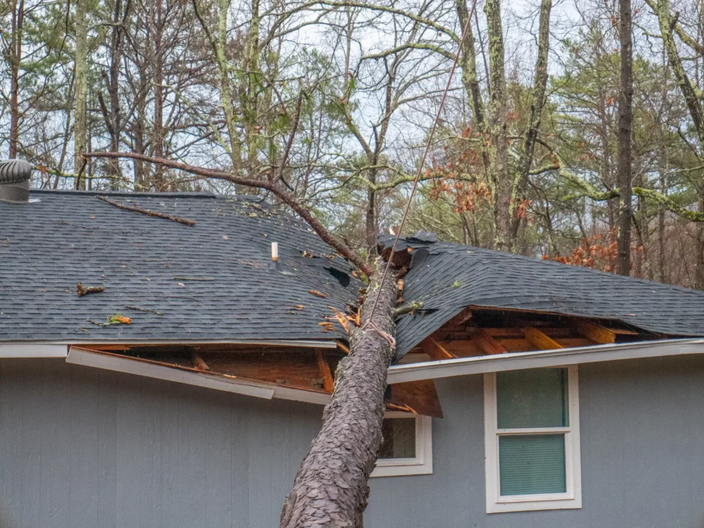 Caldwell, ID Storm Damage Restoration