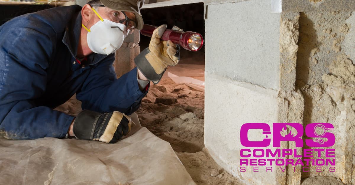 Crawl Space Mold After Water Damage: Signs, Risks & How to Remove It ... - Crawl Space Repair For Water Damage