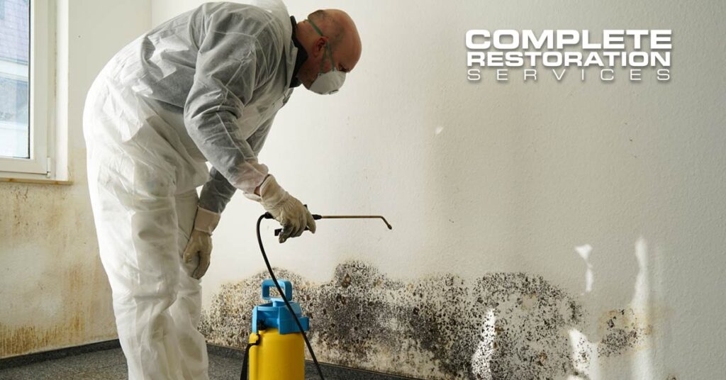 Person in protective gear spraying mold on a wall for restoration services.