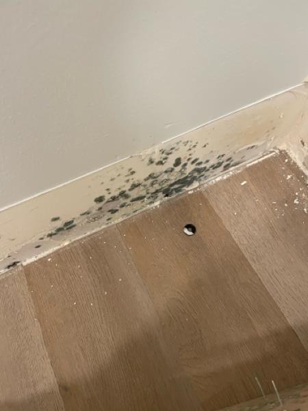 Apartment Water Damage and Mold Remediation in Meridian, ID