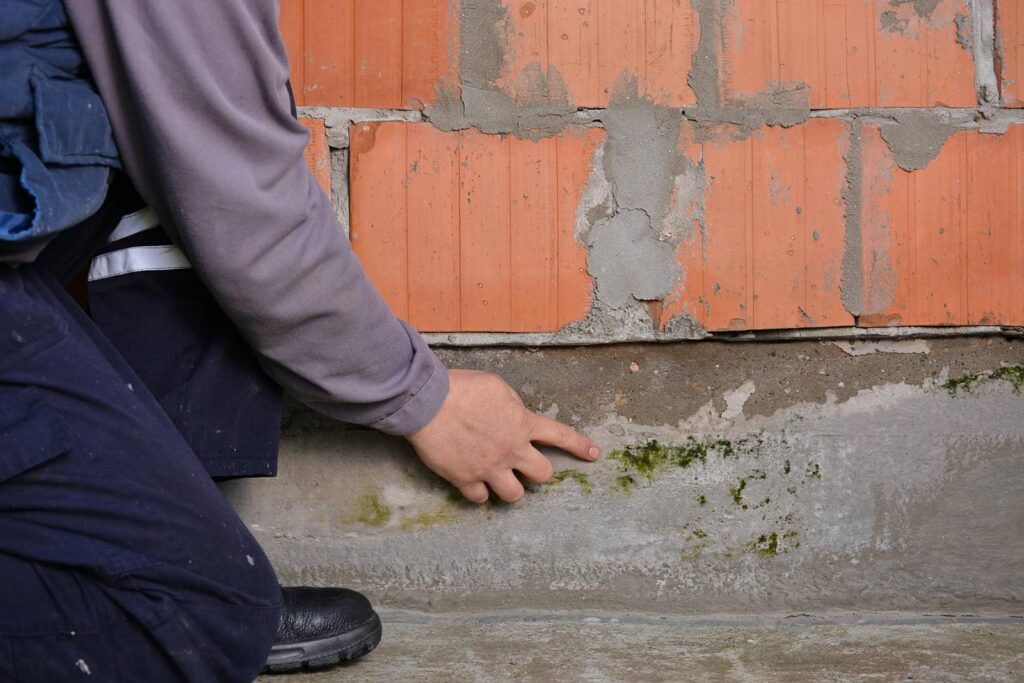 Person pointing at green mold growing on a concrete wall near a brick surface.
