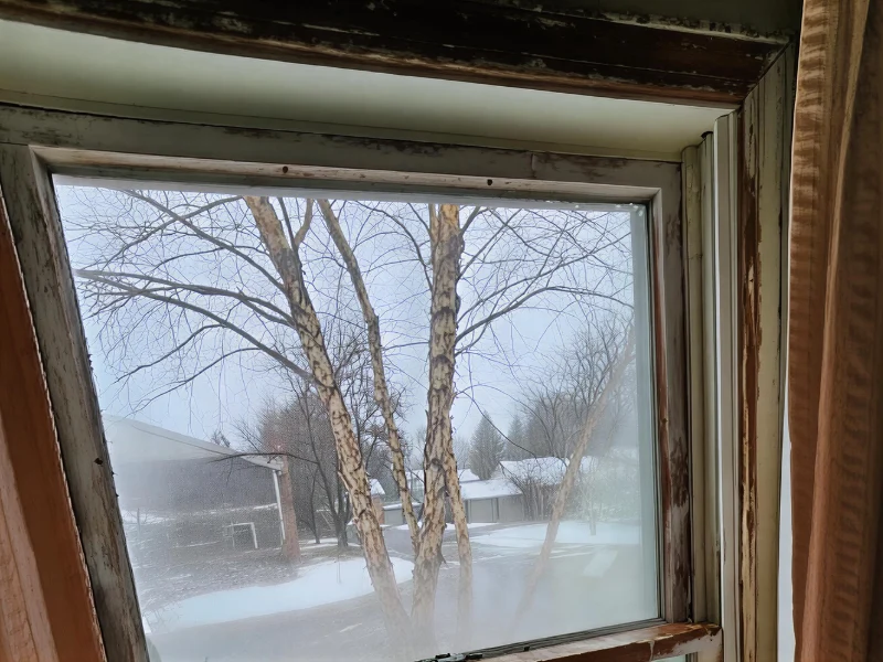Bare trees and snow-covered ground seen through a foggy, weathered window. mold inspection services